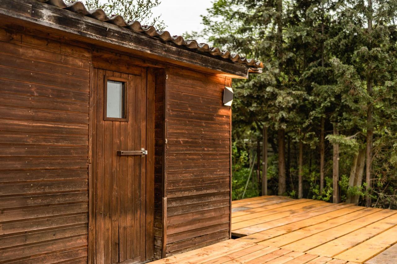Die Entspannendste Wohnung Am Edersee - Spa Sauna Edertal 外观 照片